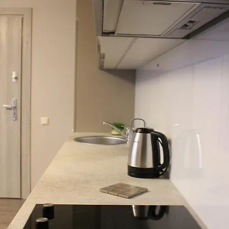 Old City Cinema Loft Delux ריגה