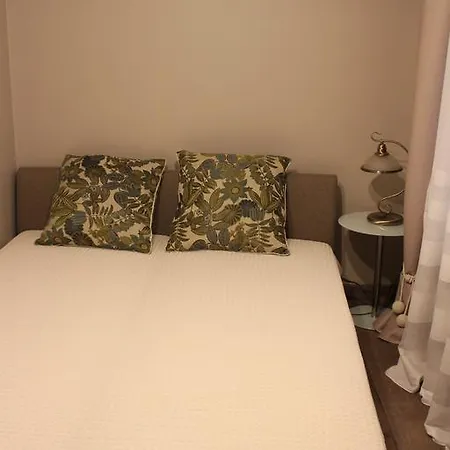 Old City Cinema Loft Delux ריגה